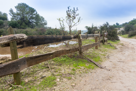 בדיקת זכאות להחזר מס שבח מקרקעין בעסקה של מכירת מגרש בפתח תקווה