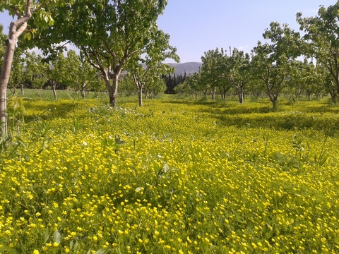 בדיקת זכאות להחזר מס שבח מקרקעין בעסקה של מכירת מגרש בפתח תקווה